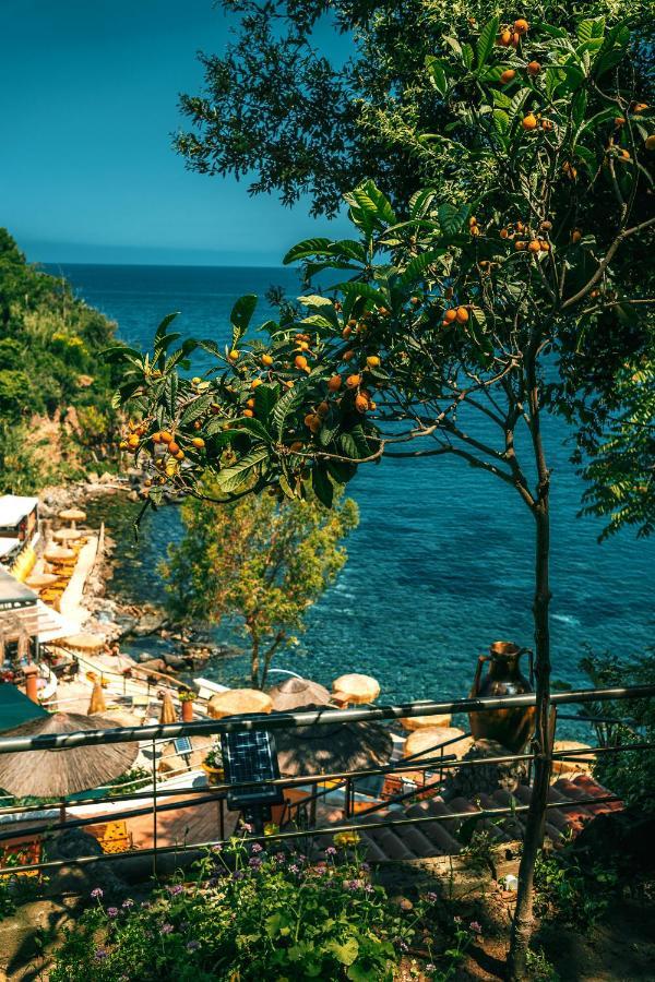 O' Vagnitiello - Parco Balneare Idroterapico - Camere - Ristorante Casamicciola Terme Ngoại thất bức ảnh